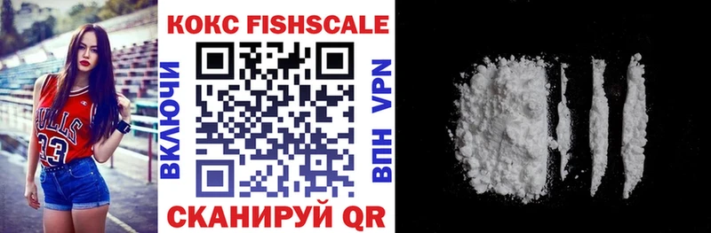 купить   Петрозаводск  COCAIN Fish Scale 