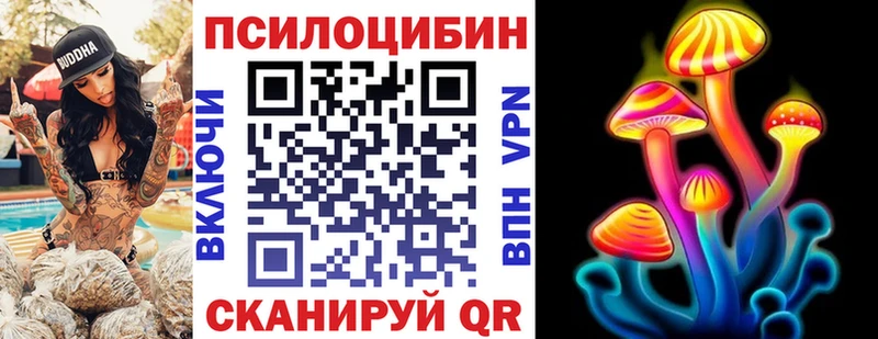 как найти закладки  Петрозаводск  Псилоцибиновые грибы прущие грибы 