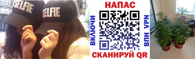 наркошоп  Петрозаводск  Бошки марихуана марихуана 